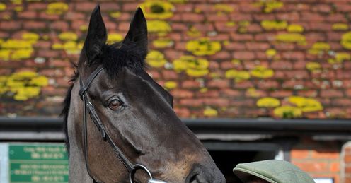 Big Buck's will be pressured by Annie Power in the World Chase, says Alex