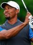 Tiger needs golf