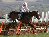 Vautour (FR)