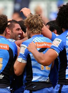 matt hodgson western force melbourne rebels matt hodgson western force melbourne rebels