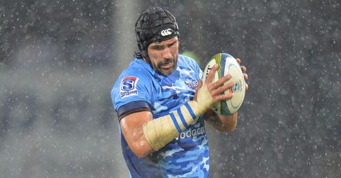 victor matfield bulls victor matfield bulls