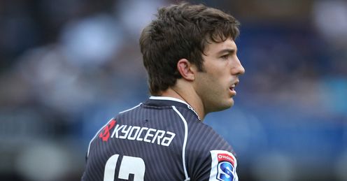 paul jordaan sharks paul jordaan sharks