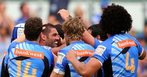 matt hodgson western force melbourne rebels matt hodgson western force melbourne rebels