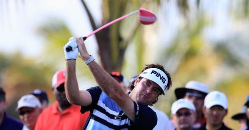Wat a character: Bubba is a unique individual, says Rob