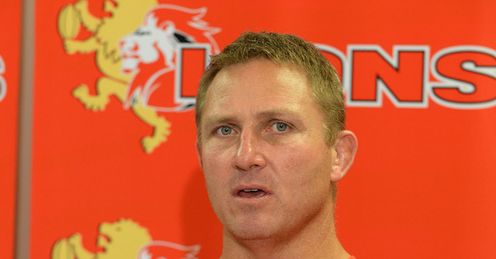 johan ackermann lions johan ackermann lions