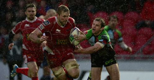 John Barclay of Scarlets John Barclay of Scarlets