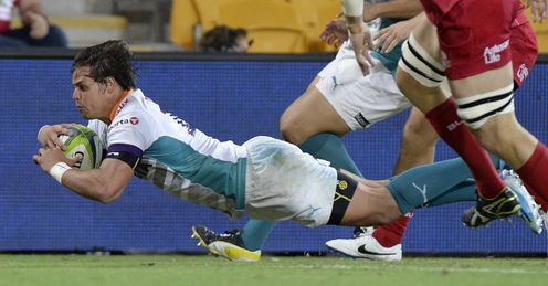 Francois Venter Cheetahs Super Rugby Francois Venter Cheetahs Super Rugby