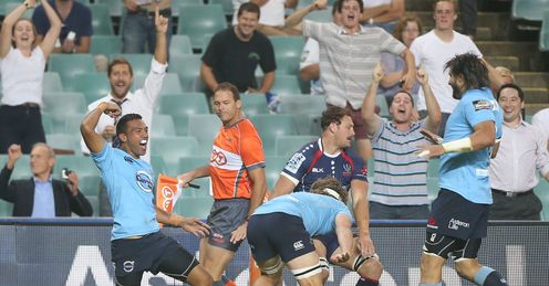 Waratahs Alofa Alofa Alofa Waratahs Alofa Alofa Alofa