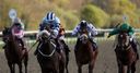 Cat pounces for Mile success