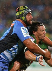 potgieter cowan force bulls potgieter cowan force bulls