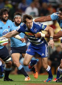 Peter Grant of the Stormers v Waratahs Peter Grant of the Stormers v Waratahs