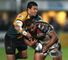 Harlequins duo go head-to-head