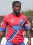 Dag & Red v Cheltenham preview