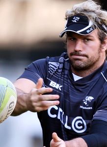 jannie du plessis sharks jannie du plessis sharks