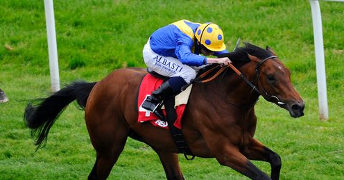 Royal Ascot picks