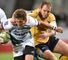 Cheetahs upset Brumbies