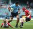 Skelton handed Wallabies debut