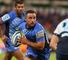 Western Force v Blues: Teams
