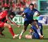 Leinster finish top