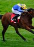 Royal Ascot picks