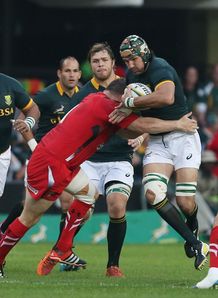 South Africa lock Victor Matfield carrying against Wales South Africa lock Victor Matfield carrying against Wales
