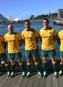Wallabies in new jersey for photoshoot Wallabies in new jersey for photoshoot