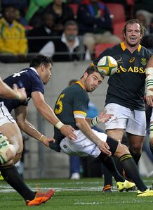 SOUTH AFRICA V SCOTLAND SOUTH AFRICA V SCOTLAND