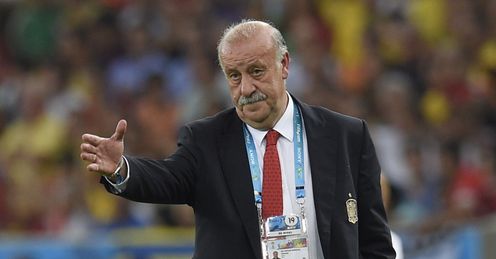 Spain's coach Vicente Del Bosque: considering his future