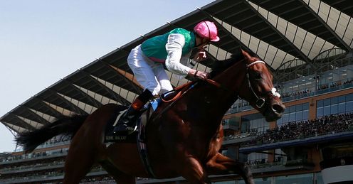 Royal week of racing
