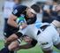 Ashe to make Scotland debut