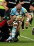 Gloucester snap up Lutui