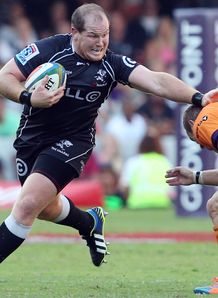 lourens adriaanse sharks cheetahs lourens adriaanse sharks cheetahs