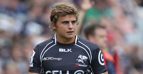 PATRICK LAMBIE SHARKS PATRICK LAMBIE SHARKS