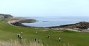 Kingsbarns gets Open chance