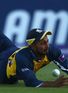 Javid signs new Bears deal