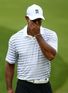 'Take a break, Tiger'