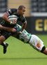Ospreys stunned by Treviso