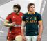 Wales v South Africa preview