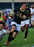 Springboks battle past Italy