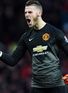 Neville: De Gea a great 'keeper