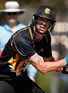 Matt's Big Bash Blog