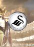 Southampton v Swansea preview