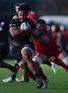 Saracens too strong for Munster