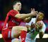 North recalled by Wales
