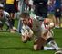 Ulster move second in PRO12