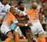 Cheetahs hold on for win