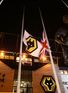 Wolves post healthy profits