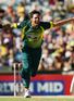 Willis: Steyn and Johnson to star