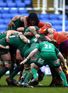 Tigers put the squeeze on Irish