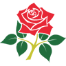 Lancashire badge